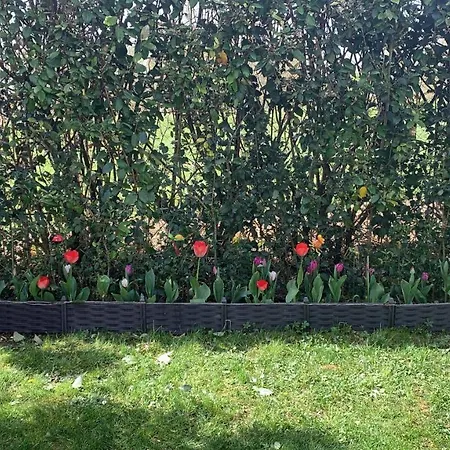 Comme A La Maison - Double Chez Habitant Pres De Toulouse
