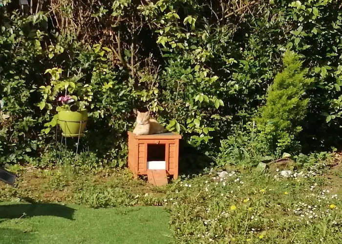 Comme A La Maison - Double Chez Habitant Pres De Toulouse Δωμάτια σε οικογενειακή κατοικία Baziege
