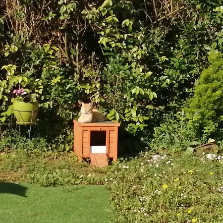 Comme A La Maison - Double Chez Habitant Pres De Toulouse Accommodatie bij particulieren Baziege