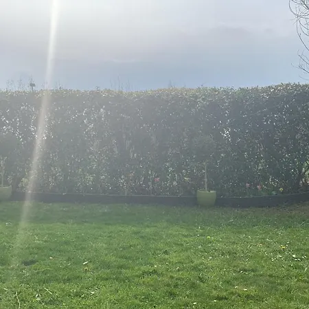 Rum i privatbostad Comme A La Maison - Double Chez Habitant Pres De Toulouse Baziege